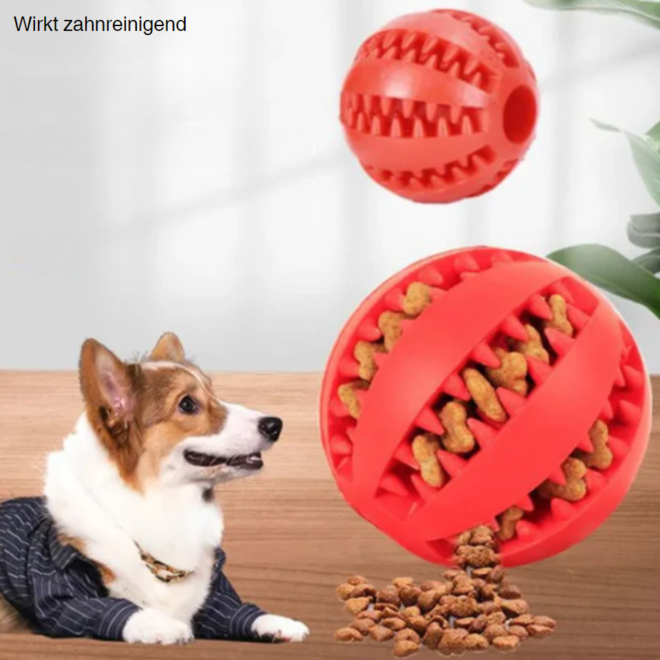 Leckerli-Hundeball