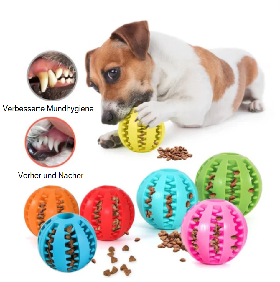 Leckerli-Hundeball