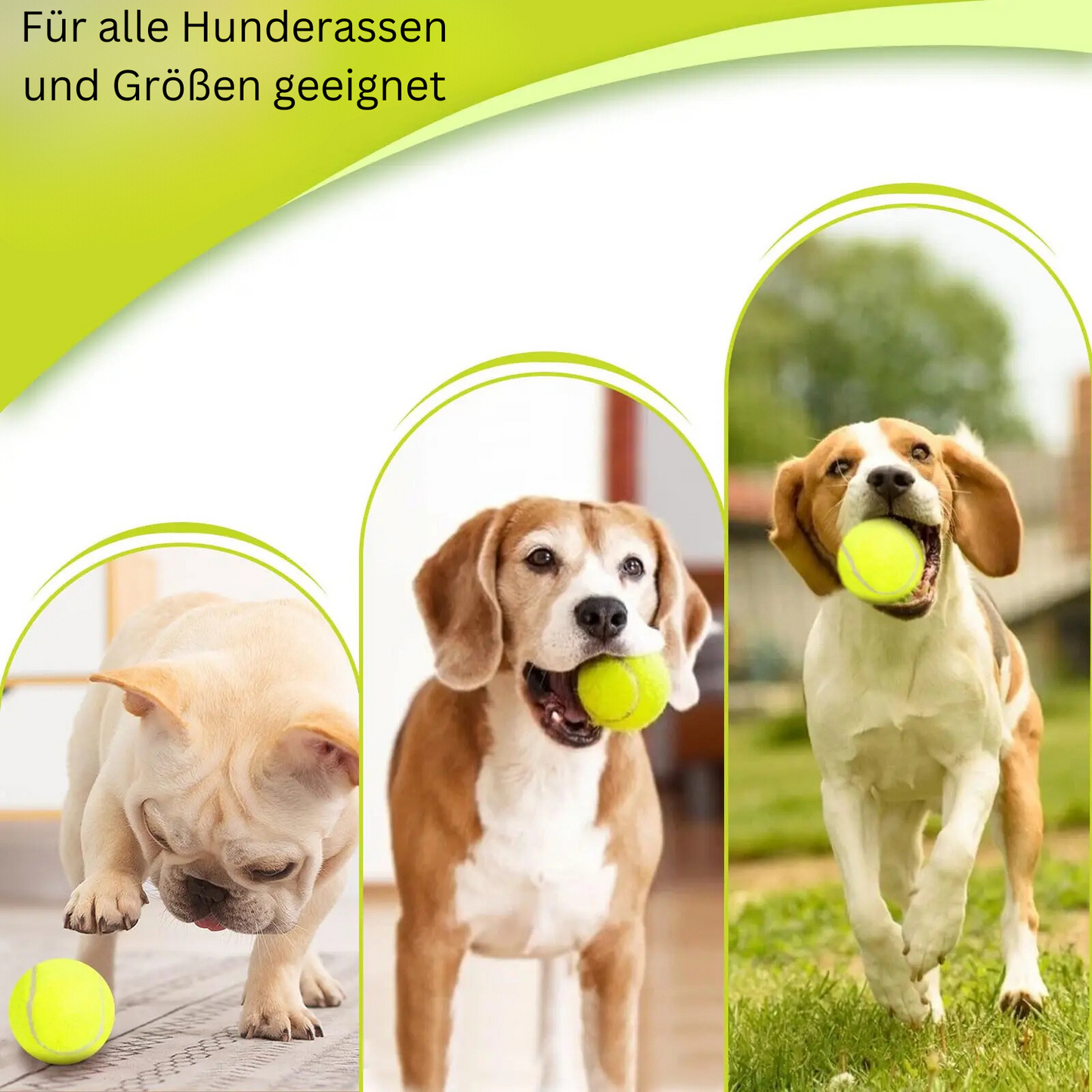 Tennisballwerfer Für hunde