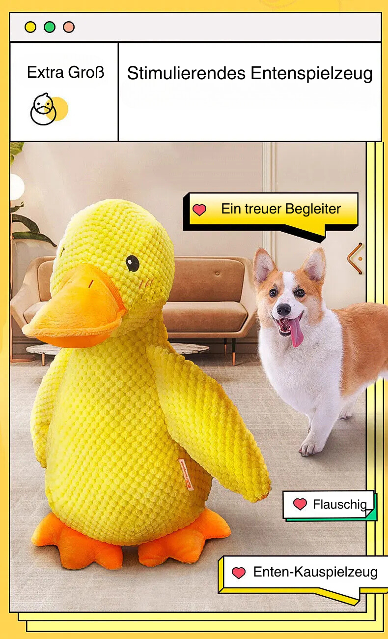 Enten Kauspielzeug
