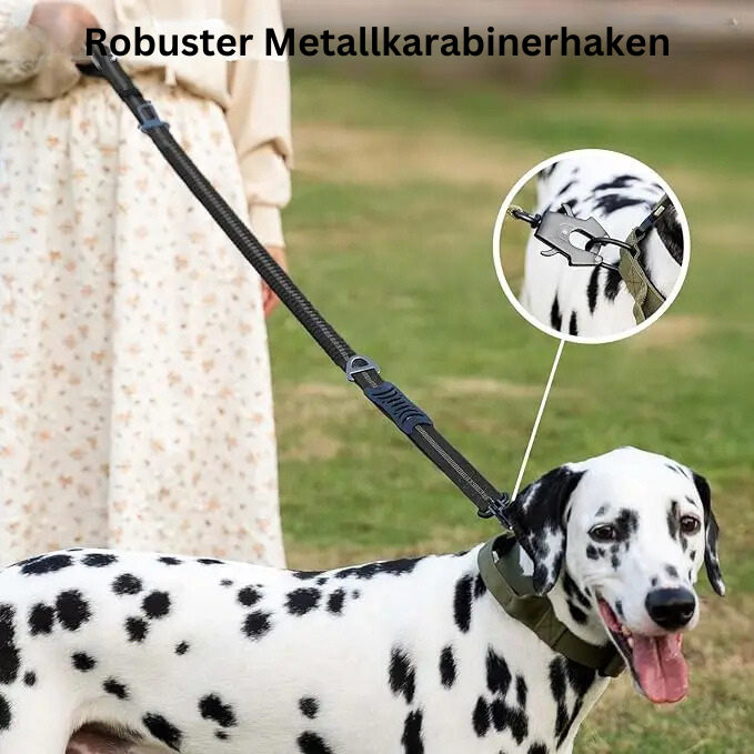 Reflektierende 4-in-1 Hundeleine