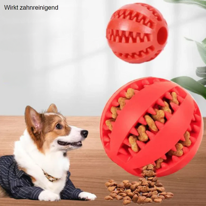 Leckerli-Hundeball