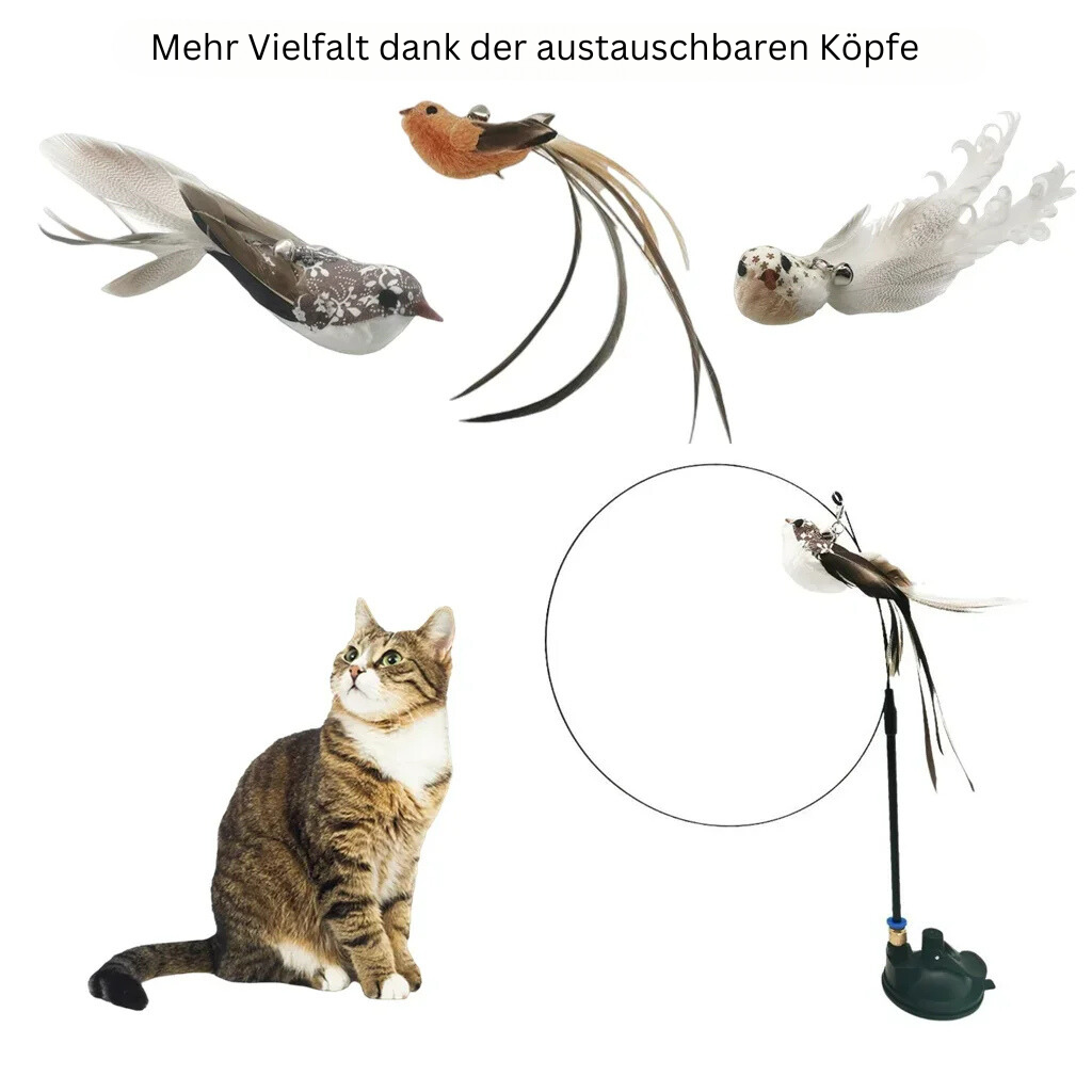 Interaktiver Katzenstock