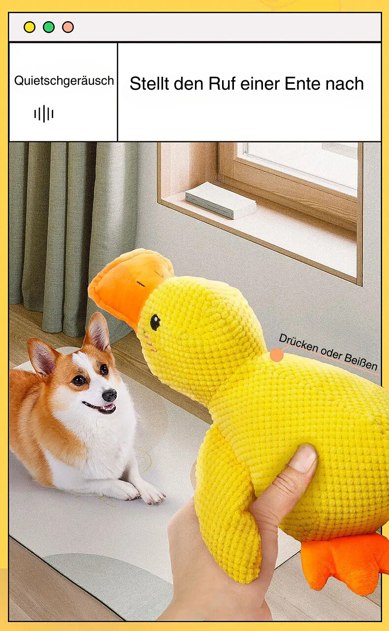 Enten Kauspielzeug