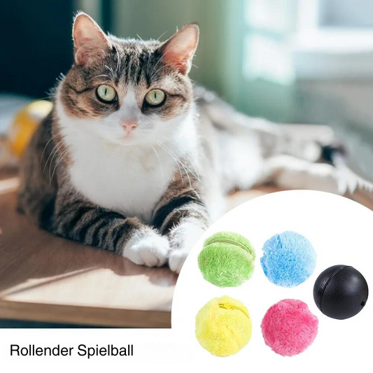 Automatischer Katzenspielball