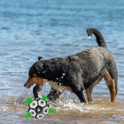 Schwimmender Spielball