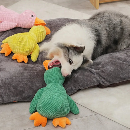 Enten Kauspielzeug